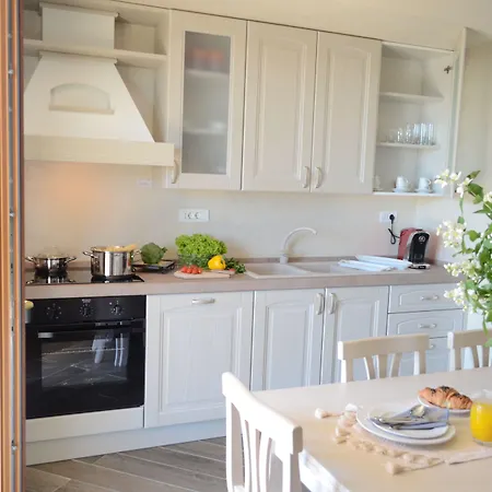 Luxury Homes Ovidiu